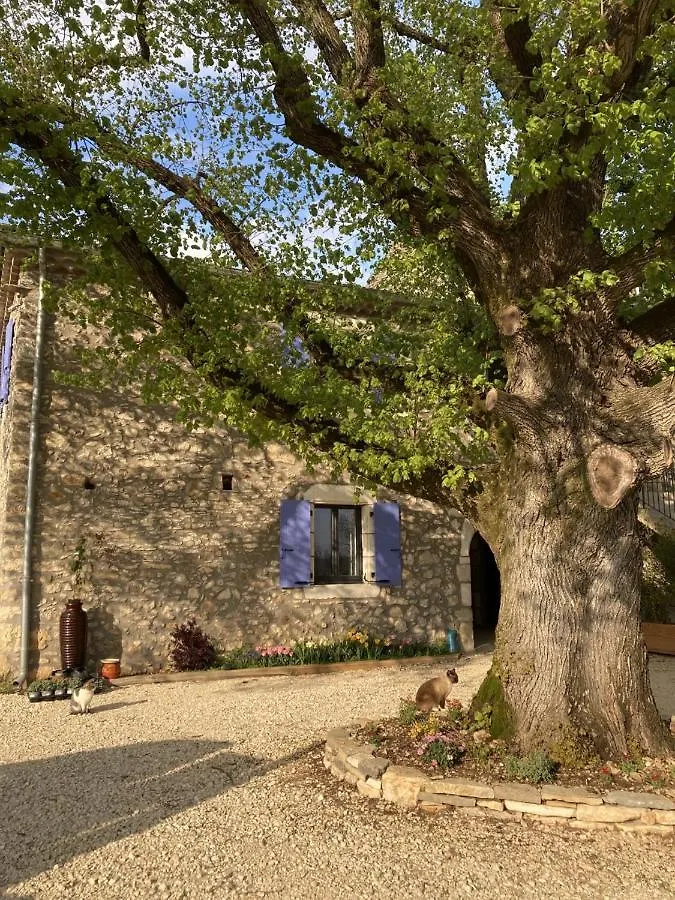 Chambre D'Hotes Lavande- A L'Ombre Des Tilleuls Lagorce